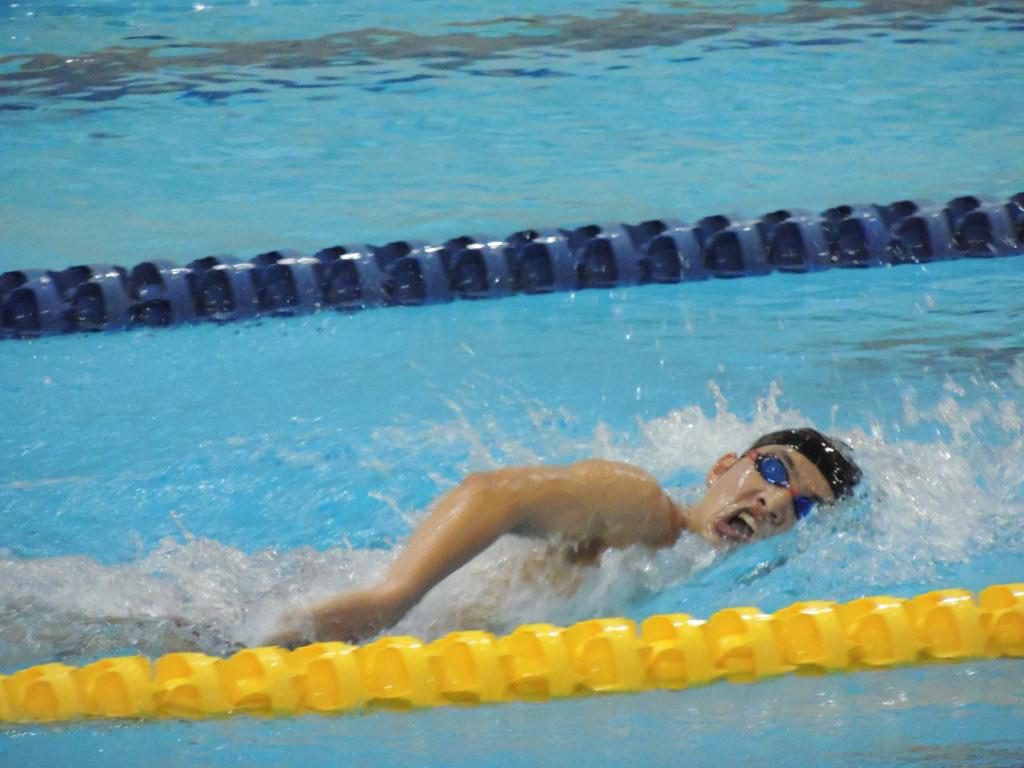 swin1